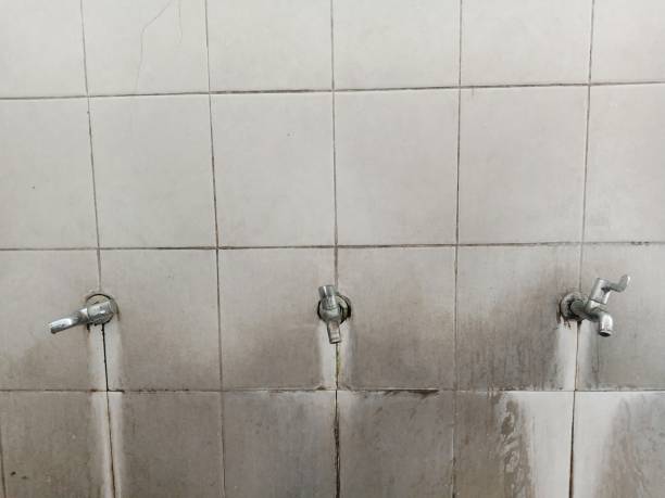 Best Ceiling water damage repair  in Newington, VA